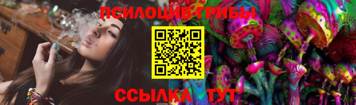Галлюциногенные грибы GOLDEN TEACHER  Галлюциногенные грибы Magic Shrooms  Вход с VPN  Ачхой-Мартан 